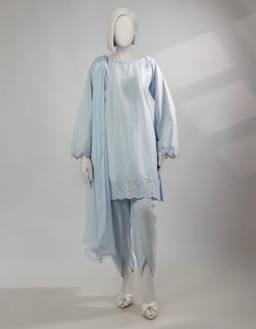 JLAWN-S-25-239/S CHIKENKARI-02