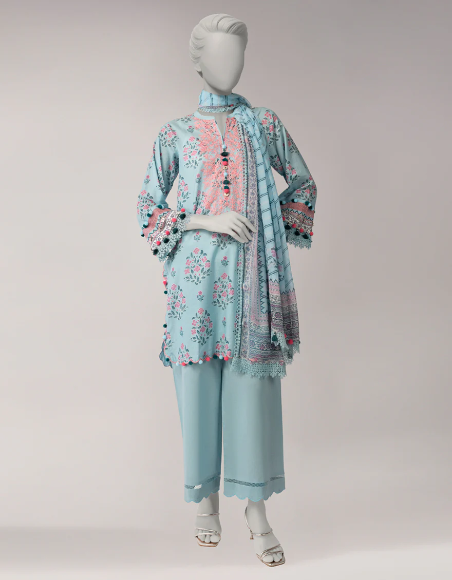 JLAWN-S-26-3729 CHAPAI-3
