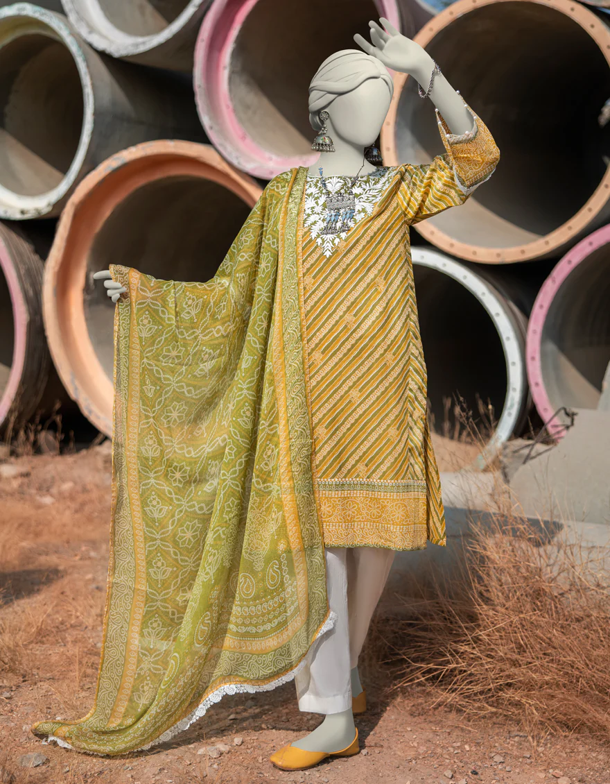 JLAWN-S-JDS-25-1002/S LEHRIA CHUNRI-02